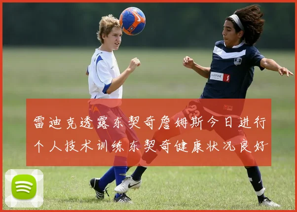 雷迪克透露东契奇詹姆斯今日进行个人技术训练东契奇健康状况良好
