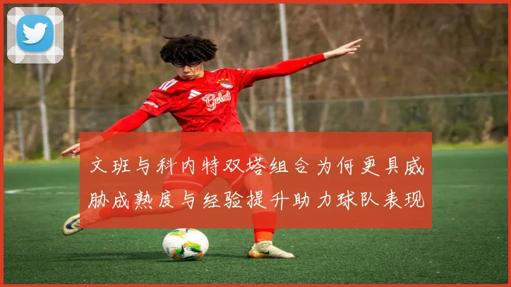 文班与科内特双塔组合为何更具威胁成熟度与经验提升助力球队表现