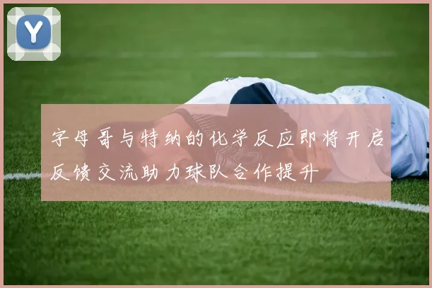 字母哥与特纳的化学反应即将开启反馈交流助力球队合作提升