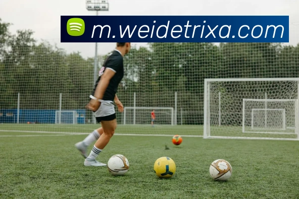 韦德体育平台生态图