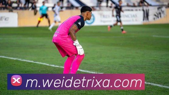 韦德体育APP 封面图