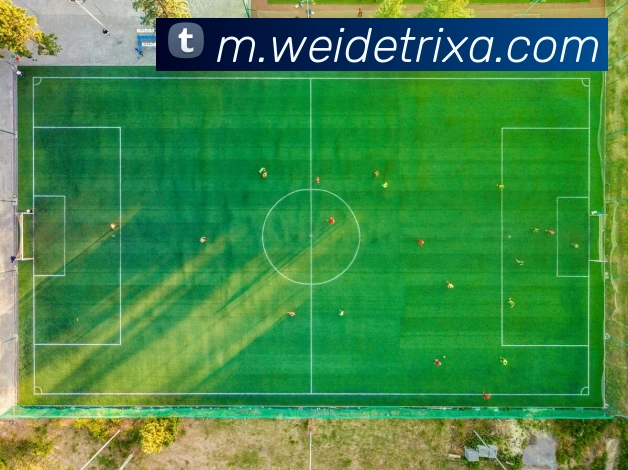 数据防护可视化